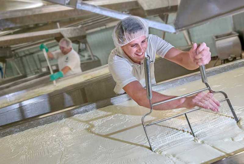 Bergader Privatkäserei