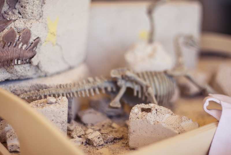 Dinosaurier Museum Altmühltal