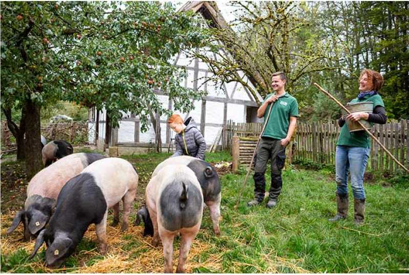 Freilichtmuseum Neuhausen ob Eck