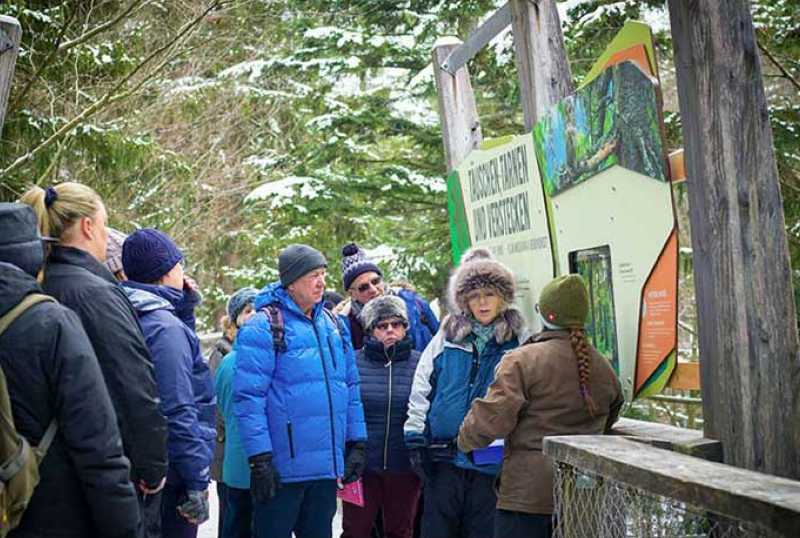Baumwipfelpfad Bayerischer Wald