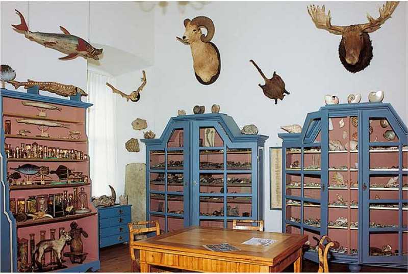 Thüringer Landesmuseum Heidecksburg