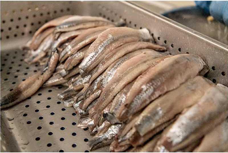 PLOTZ Spezialitäten