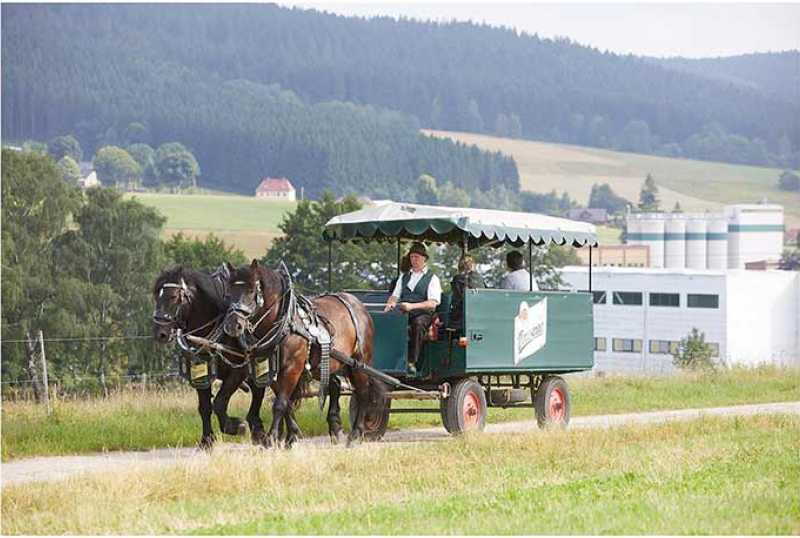 Wernesgrüner Brauerei