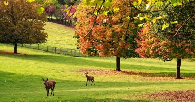 Wild- und Freizeitpark Allensbach