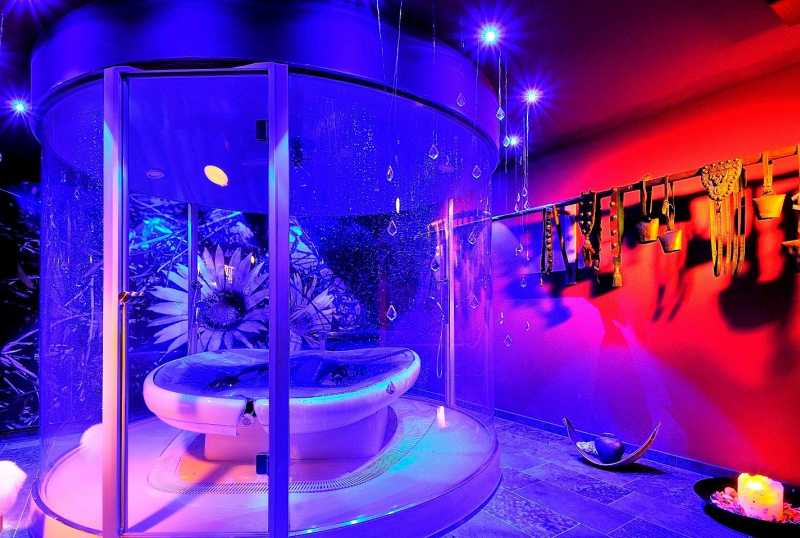 HOTEL ALPINE PALACE 5*S