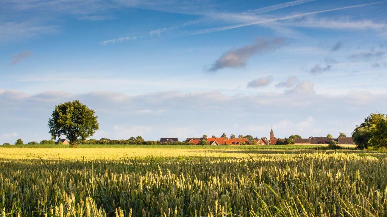 Faszinierendes Münsterland 