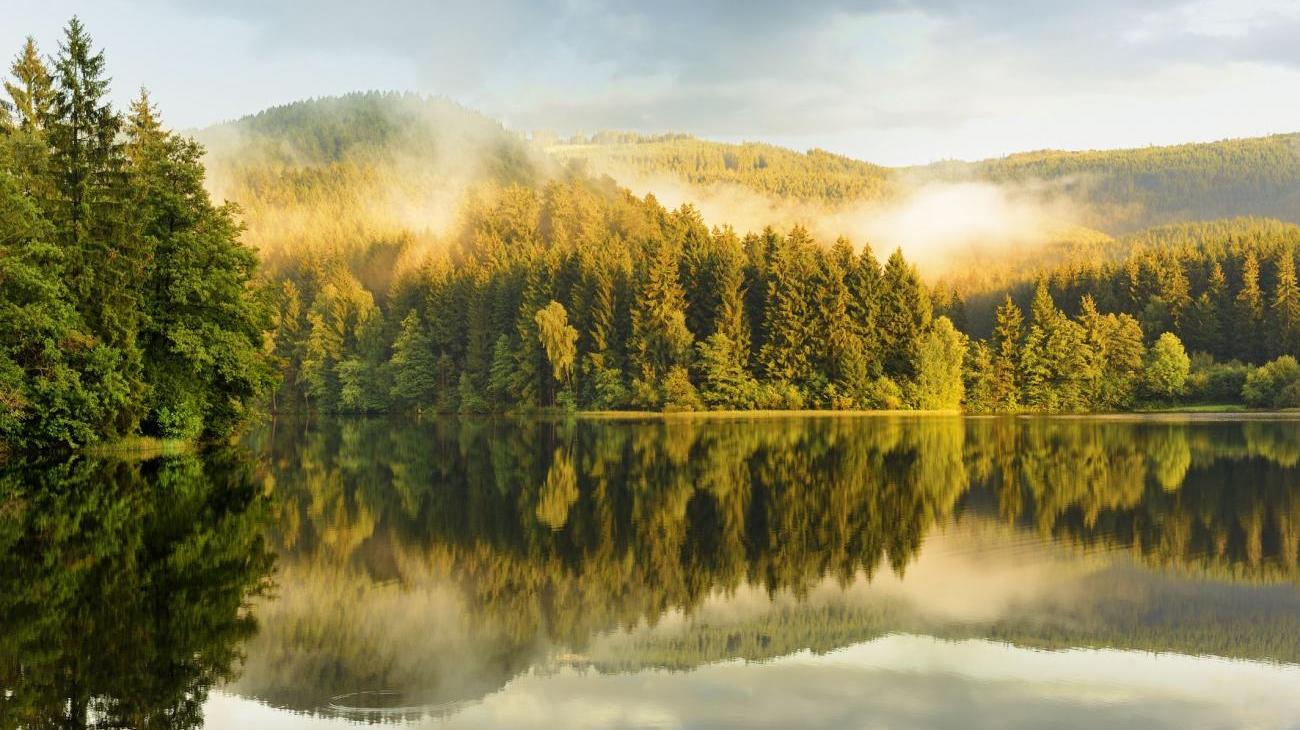 Gruppenreisen nach Deutschland – den Harz entdecken