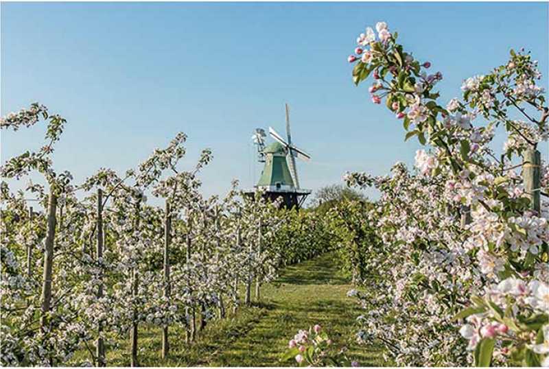 Tourist-Info Altes Land