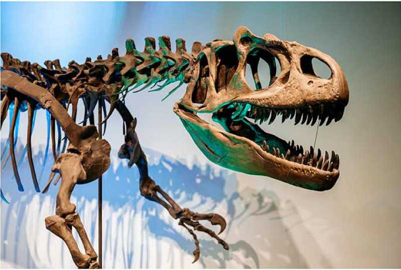LWL-Museum für Naturkunde