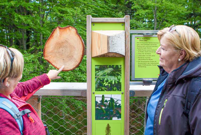 Baumwipfelpfad Salzkammergut