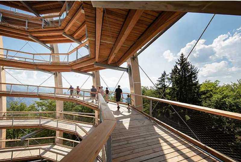 Baumwipfelpfad Salzkammergut