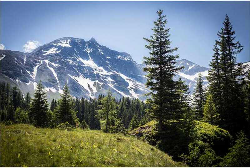 Raurisertal