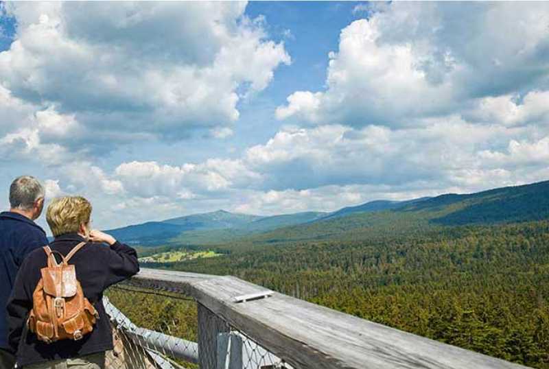 Baumwipfelpfad Bayerischer Wald