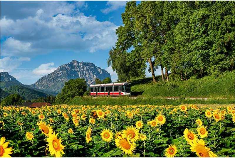 Urlaubsregion Traunsee-Almtal Salzkammergut