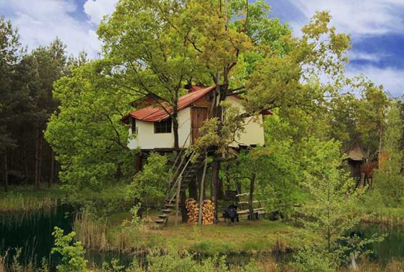 Kulturinsel - Die Geheime Welt von Turisede