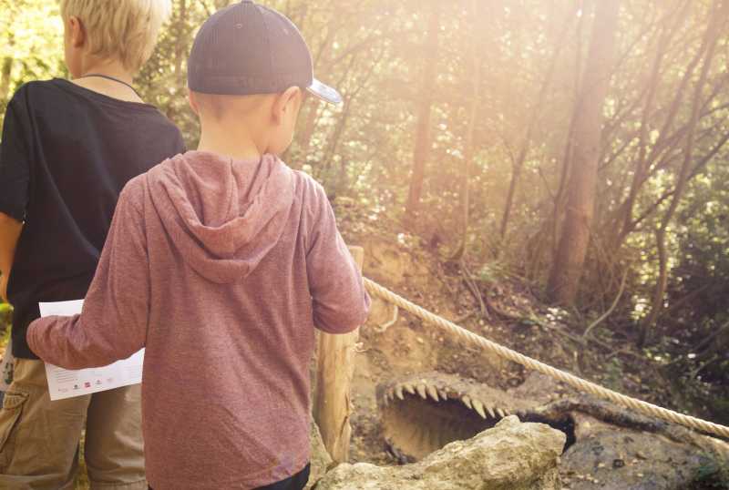 Dinosaurier Museum Altmühltal