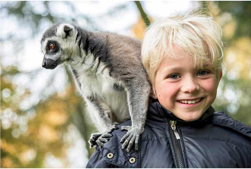 Serengeti-Park Hodenhagen