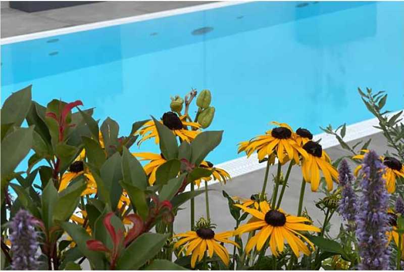 Landgasthof und Land-gut-Hotel Zur Rose