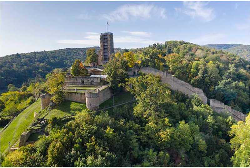  Wein- und Ferienregion Wachenheim