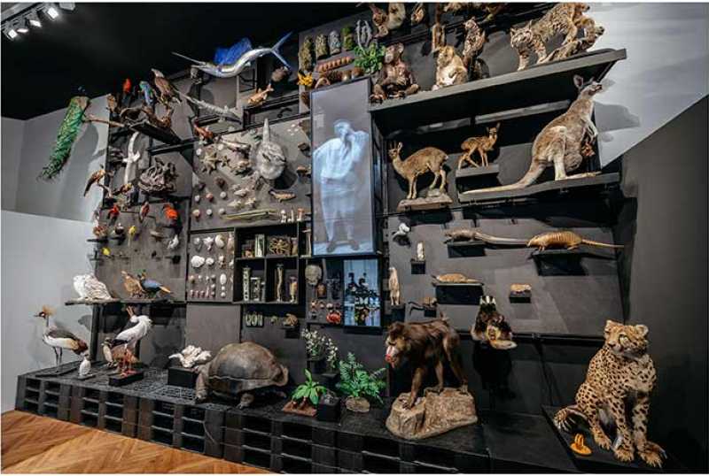 LWL-Museum für Naturkunde