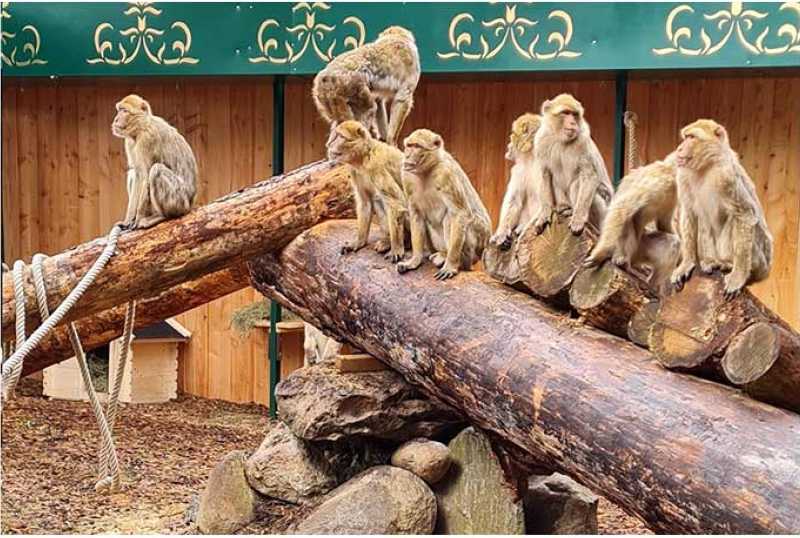 Magic Park Verden