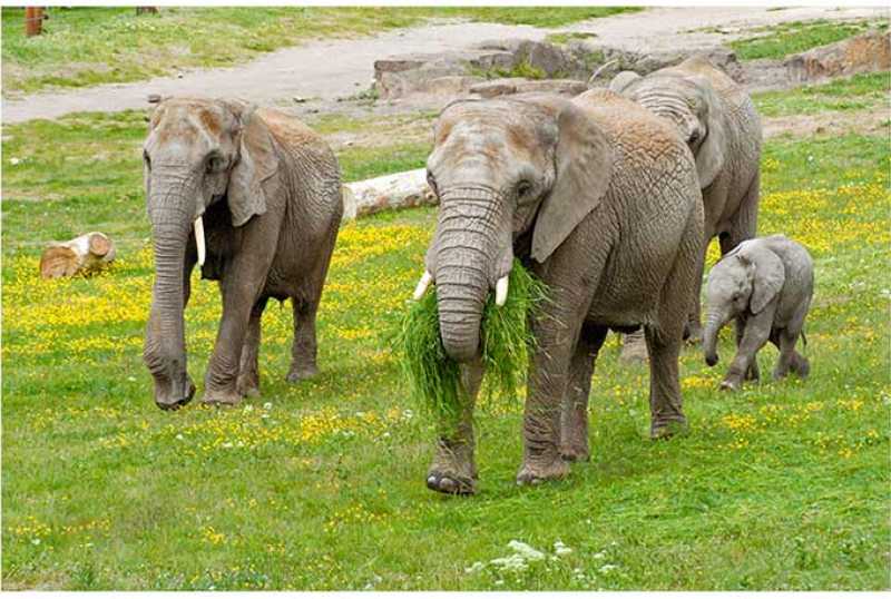 Thüringer Zoopark Erfurt