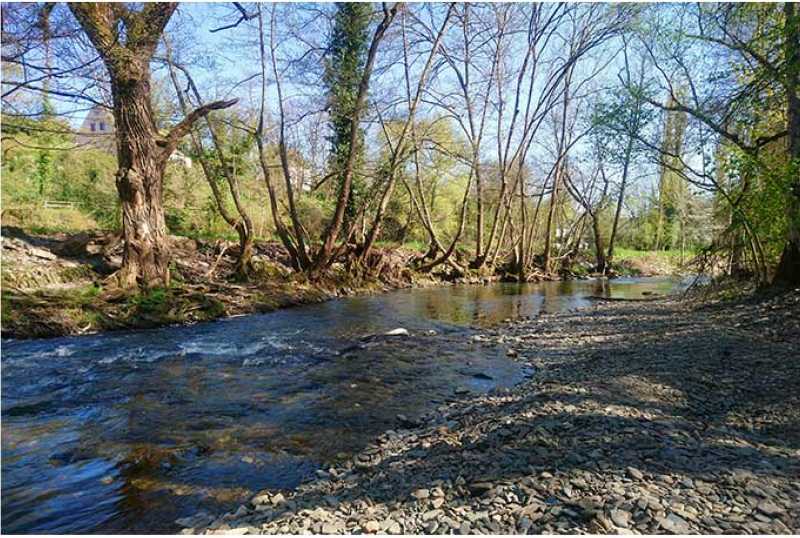 Wittlich Stadt & Land