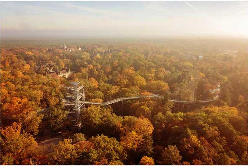 Baum&Zeit - Baumkronenpfad Beelitz Heilstätten