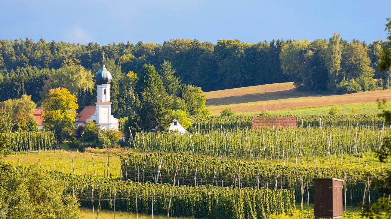 Beeindruckendes Hopfenland Hallertau 