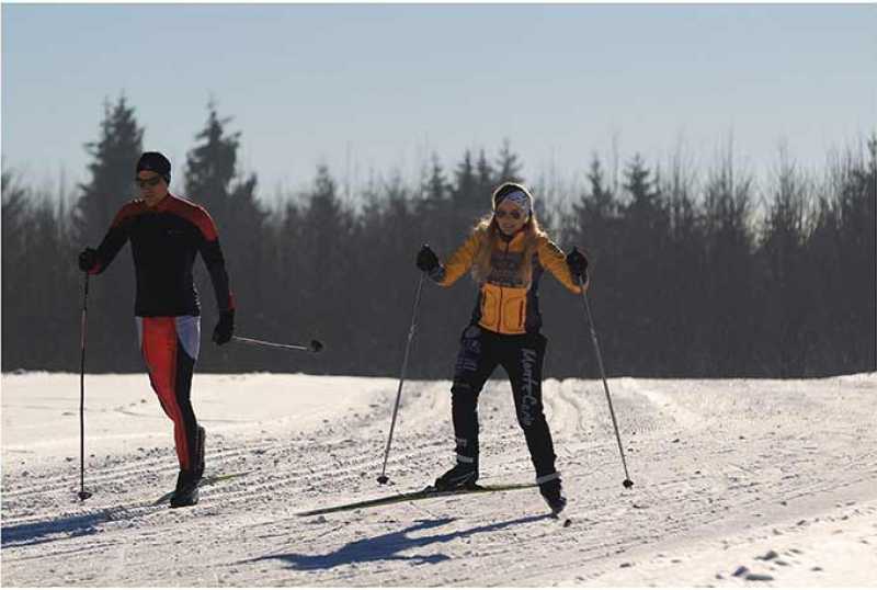 Naturpark Oberer Bayerischer Wald