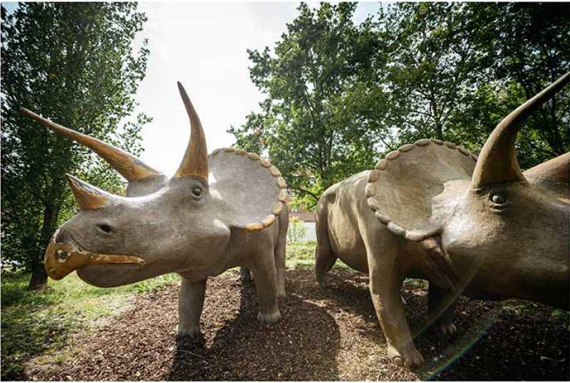 LWL-Museum für Naturkunde
