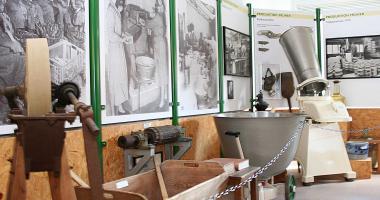 Schamels Meerrettich-Museum
