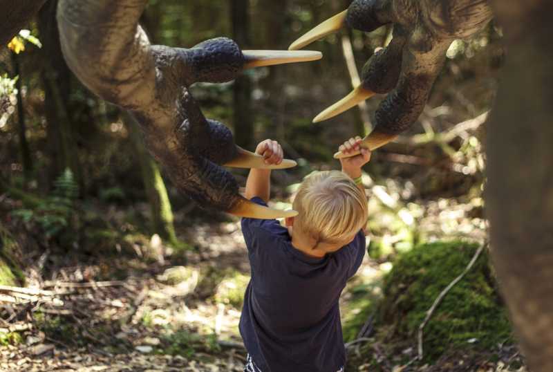 Dinosaurier Museum Altmühltal