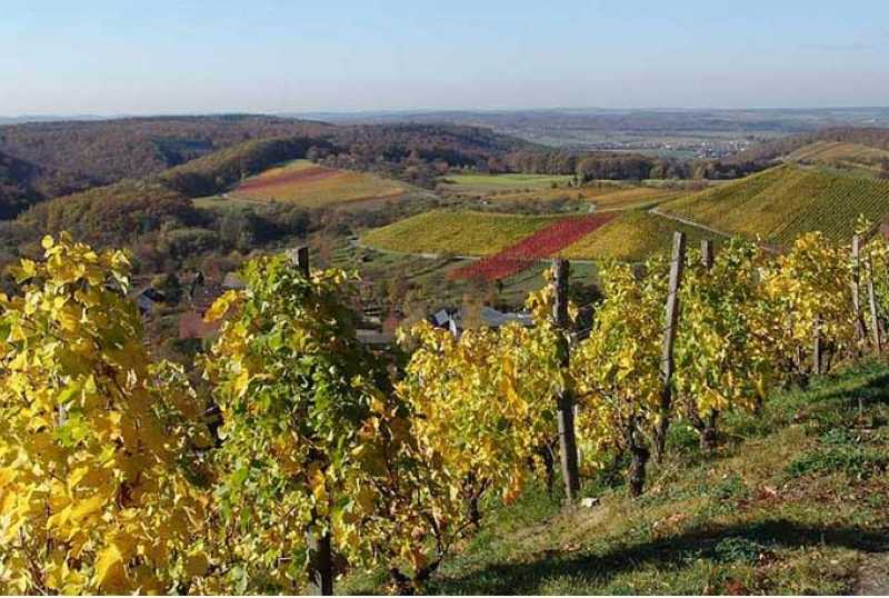 Naturpark Stromberg-Heuchelberg
