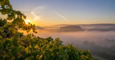 Naturpark Stromberg-Heuchelberg