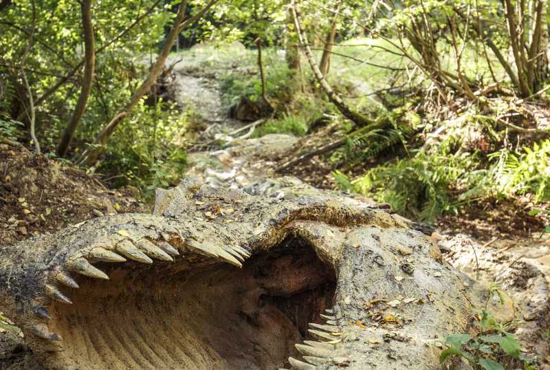 Dinosaurier Museum Altmühltal