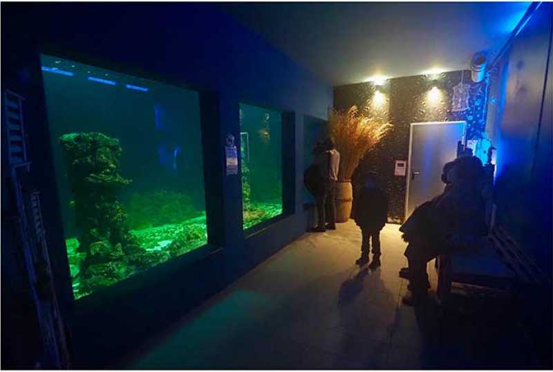 Meeresaquarium Nautiland