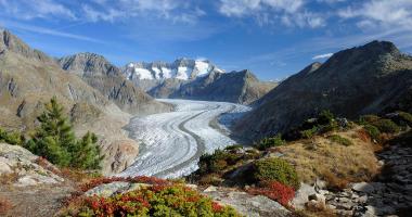 Aletsch Arena