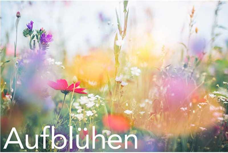 Landesgartenschau Ellwangen 2026