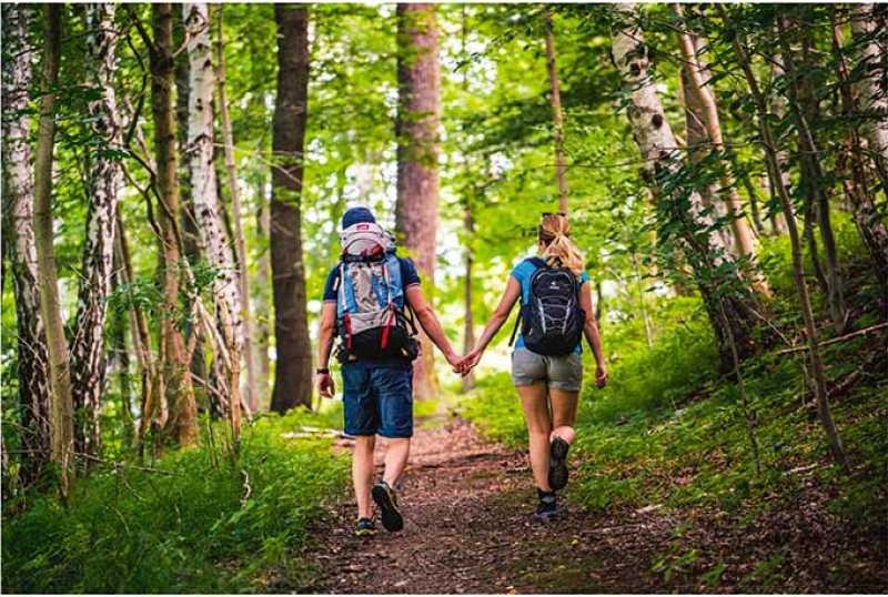 CHEMNITZ. ZWICKAU. REGION.