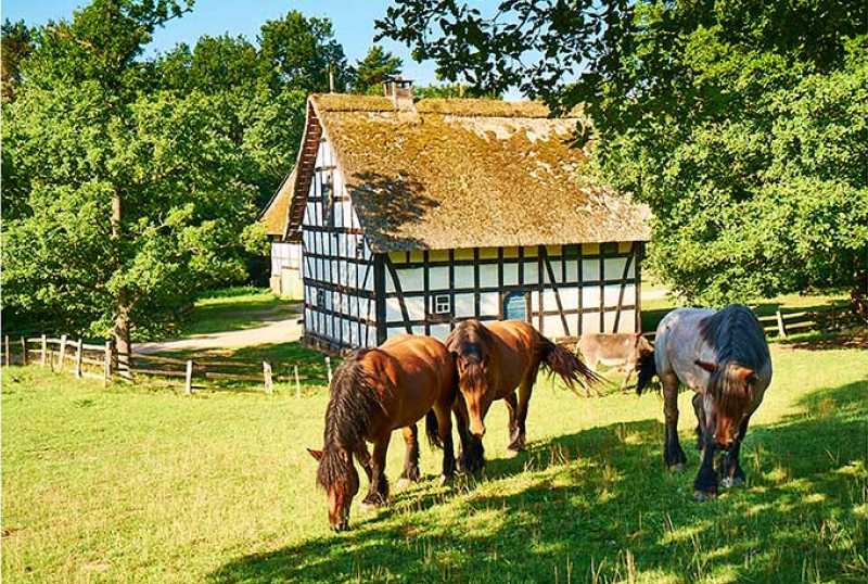 LVR-Freilichtmuseum Kommern