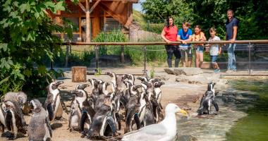 ZOOLOGISCHER GARTEN MAGDEBURG