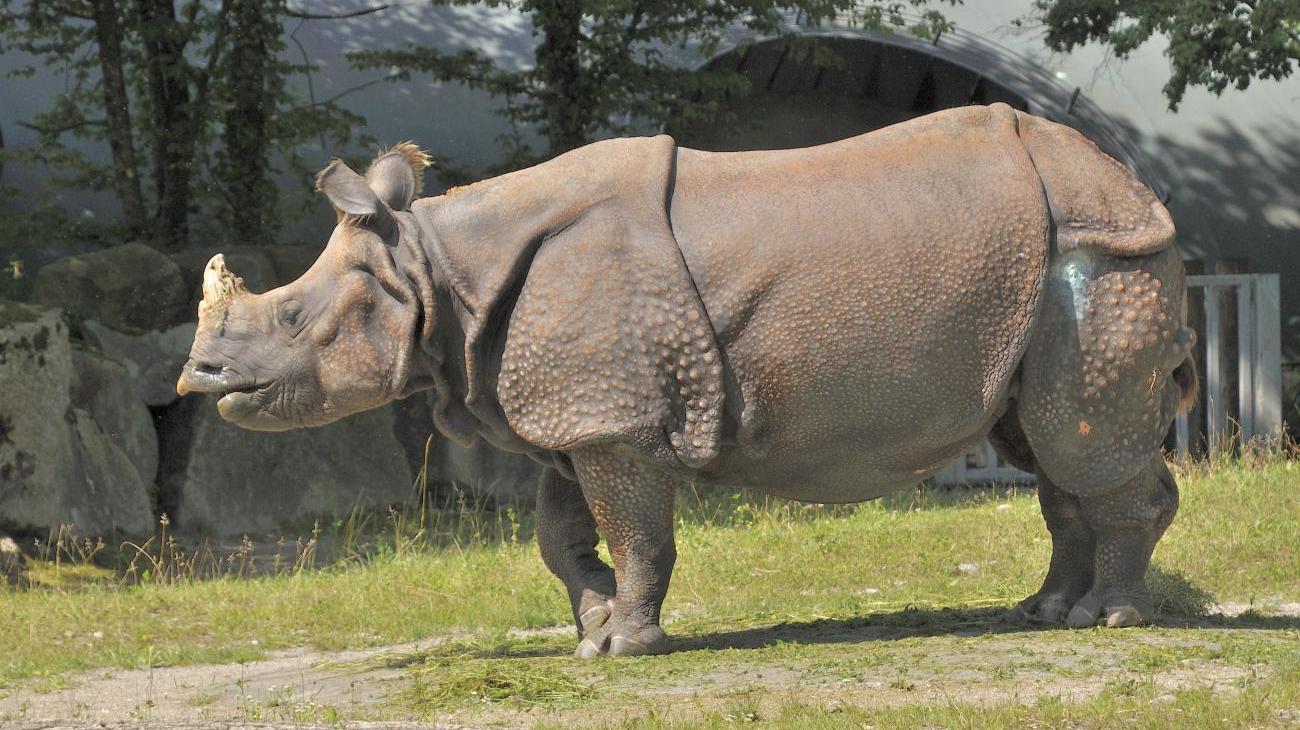 Gruppenreisen nach Bayern - Tierpark Hellabrunn 