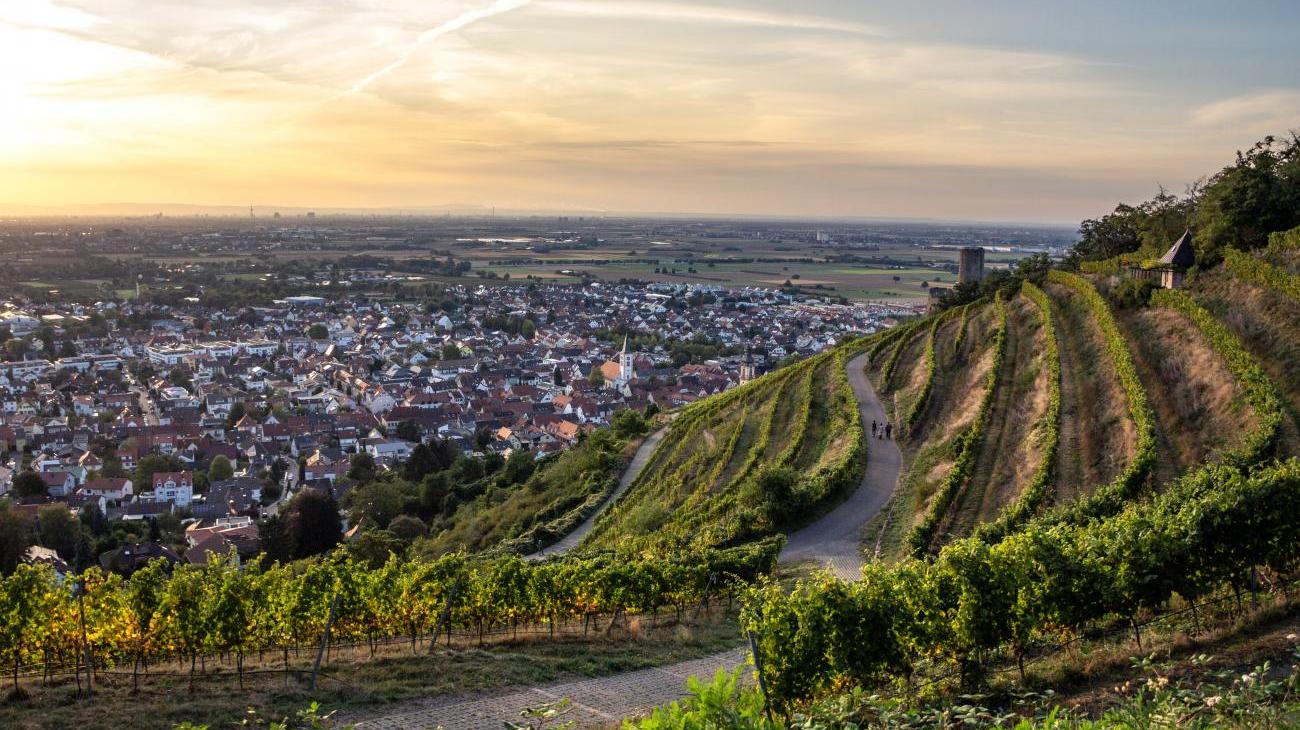 Gruppenreisen nach Deutschland – das Bundesland Baden-Württemberg bereisen