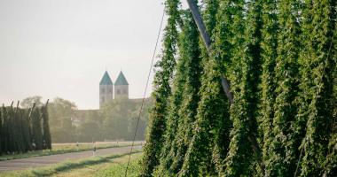 Hopfenland Hallertau