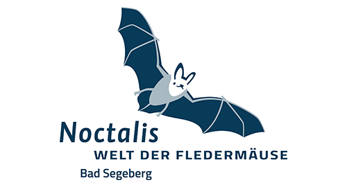 Welt der Fledermäuse Segeberger Kalkberghöhle